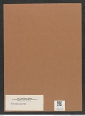 Coscinodiscus sp. (de-Toni-Nr.: Genus 202) Zeichnungen Sammlung Grunow Mappe 04938 (Herbarium_W_Grunow_drawings_Folder_04938)
